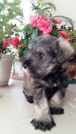 20150929_163417.jpg (326.67 КБ, Просмотров: 1113) 20150929_163417.jpg