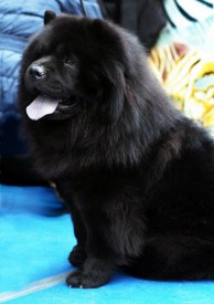 Yrc-FWVorrI.jpg (46.72 КБ, Просмотров: 1431) Yrc-FWVorrI.jpg