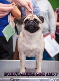 мама.jpg (160.89 КБ, Просмотров: 1233) мама.jpg