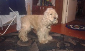 20.jpg (97.47 КБ, Просмотров: 9567) 20.jpg