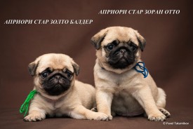 DSC_7756.jpg (162.4 КБ, Просмотров: 1162) DSC_7756.jpg