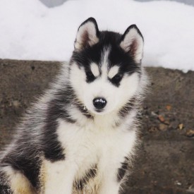 5NUYyCv3WfU.jpg (59.71 КБ, Просмотров: 1673) 5NUYyCv3WfU.jpg