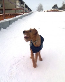 Фото1581.jpg (74.79 КБ, Просмотров: 1724) Фото1581.jpg