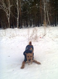 Фото1584.jpg (139.41 КБ, Просмотров: 1847) Фото1584.jpg