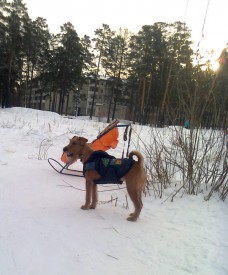 Фото1588.jpg (145.51 КБ, Просмотров: 1857) Фото1588.jpg