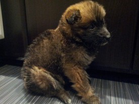 20151212_193437.jpg (193.67 КБ, Просмотров: 3117) 20151212_193437.jpg