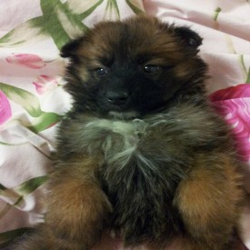 20151215_215757.jpg (142.56 КБ, Просмотров: 3117) 20151215_215757.jpg