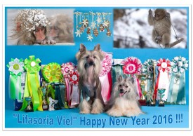 с НГ от ЛВ ev.jpg (557.3 КБ, Просмотров: 9234) с НГ от ЛВ ev.jpg