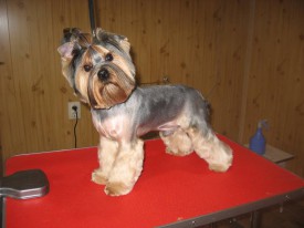 IMG_0767 2.jpg (57.42 КБ, Просмотров: 22374) IMG_0767 2.jpg