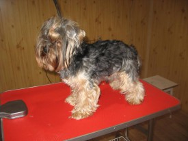 IMG_0761 2.jpg (62.81 КБ, Просмотров: 21673) IMG_0761 2.jpg