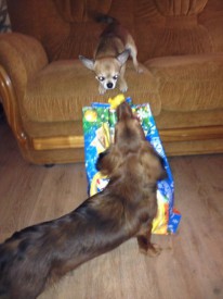 grAdjAHk4gw.jpg (49.92 КБ, Просмотров: 10000) grAdjAHk4gw.jpg