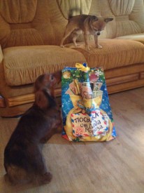 G8zjkqIhSNE.jpg (59.28 КБ, Просмотров: 10220) G8zjkqIhSNE.jpg