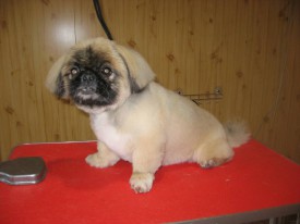 IMG_0788 2.jpg (50.11 КБ, Просмотров: 21627) IMG_0788 2.jpg