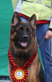 13ASQbjcg.jpg (255.82 КБ, Просмотров: 1242) 13ASQbjcg.jpg