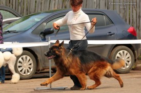 xdQJKZYN.jpg (141.19 КБ, Просмотров: 1241) xdQJKZYN.jpg