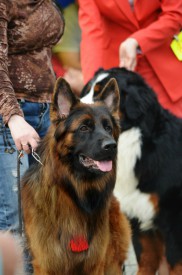 19gZJH4zg.jpg (199.91 КБ, Просмотров: 1241) 19gZJH4zg.jpg