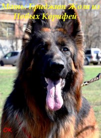 L8wqLaLM.jpg (45.46 КБ, Просмотров: 1241) L8wqLaLM.jpg