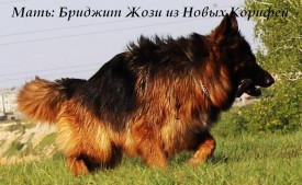 image (3).jpg (78.38 КБ, Просмотров: 1241) image (3).jpg