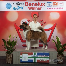 11015162_10204427885234429_1290323124_n.jpg (202.95 КБ, Просмотров: 8667) 11015162_10204427885234429_1290323124_n.jpg