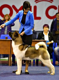 11698551_1877137292510585_104589097815904536_n.jpg (90.22 КБ, Просмотров: 8665) 11698551_1877137292510585_104589097815904536_n.jpg