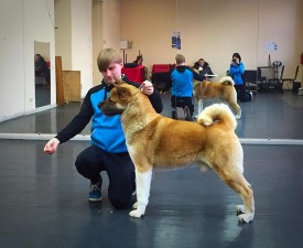 10955740_1782257491998566_2952727086117840087_n.jpg (79.91 КБ, Просмотров: 9199) 10955740_1782257491998566_2952727086117840087_n.jpg