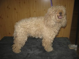 IMG_0827 2.jpg (104.47 КБ, Просмотров: 22241) IMG_0827 2.jpg