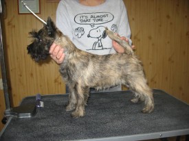 IMG_0842 2.jpg (161.45 КБ, Просмотров: 21606) IMG_0842 2.jpg