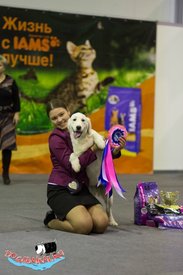 1621a5118b60.jpg (226.55 КБ, Просмотров: 157360) 1621a5118b60.jpg
