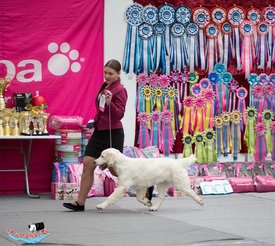 getImage.jpeg (150.03 КБ, Просмотров: 155373) getImage.jpeg