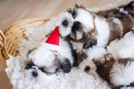 12524216_1954808714745311_573390587250912546_n.jpg (65.88 КБ, Просмотров: 1098) 12524216_1954808714745311_573390587250912546_n.jpg