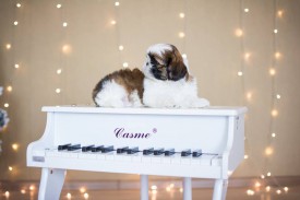 12642784_1954809244745258_7269368700784916218_n.jpg (40.43 КБ, Просмотров: 1098) 12642784_1954809244745258_7269368700784916218_n.jpg