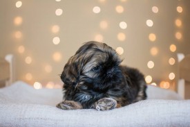 12644821_1954808688078647_7398430243101542473_n.jpg (46.82 КБ, Просмотров: 1098) 12644821_1954808688078647_7398430243101542473_n.jpg