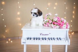 12670098_1954809194745263_3835793421913302195_n.jpg (47.49 КБ, Просмотров: 1167) 12670098_1954809194745263_3835793421913302195_n.jpg