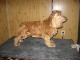 IMG_0852 2.jpg (110.93 КБ, Просмотров: 21427) IMG_0852 2.jpg