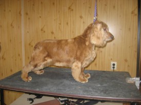 IMG_0860 2.jpg (95.69 КБ, Просмотров: 22060) IMG_0860 2.jpg