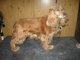 IMG_0847 2.jpg (80.84 КБ, Просмотров: 22082) IMG_0847 2.jpg