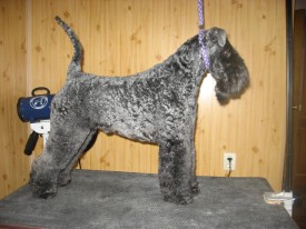 Юстон 2.jpg (212.09 КБ, Просмотров: 22005) Юстон 2.jpg