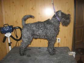 Юстон 1.jpg (166.22 КБ, Просмотров: 21375) Юстон 1.jpg