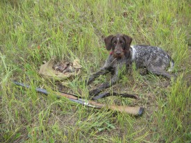 Peggi01.jpg (452.06 КБ, Просмотров: 1758) Peggi01.jpg