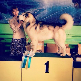 d45489e26f64a4ee3ef9dc9fba747cd754cb0372cf5fe9875563f0cd69e0c0e9.jpg (78.16 КБ, Просмотров: 2856) d45489e26f64a4ee3ef9dc9fba747cd754cb0372cf5fe9875563f0cd69e0c0e9.jpg