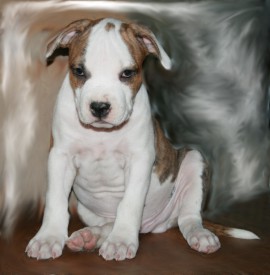 8.jpg (99.25 КБ, Просмотров: 1675) 8.jpg