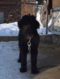 кане6гн.jpg (110.63 КБ, Просмотров: 3627) кане6гн.jpg