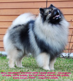 12768408_1152928344717610_3890599592263061465_o.jpg1.jpg2.jpg (496.64 КБ, Просмотров: 3251) 12768408_1152928344717610_3890599592263061465_o.jpg1.jpg2.jpg