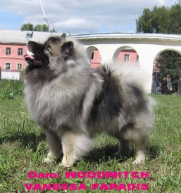 12705342_1152928958050882_7751319000262603637_n.jpg1.jpg (95.28 КБ, Просмотров: 3251) 12705342_1152928958050882_7751319000262603637_n.jpg1.jpg