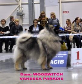 12748038_1152949334715511_5295089566775991514_o.jpg1.jpg (227.8 КБ, Просмотров: 3251) 12748038_1152949334715511_5295089566775991514_o.jpg1.jpg