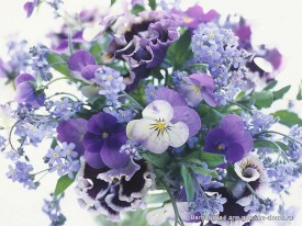 цветочки.jpg (82.35 КБ, Просмотров: 1835) цветочки.jpg