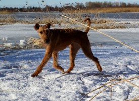 2016-03-18-1 (107)1.jpg (396.78 КБ, Просмотров: 1780) 2016-03-18-1 (107)1.jpg