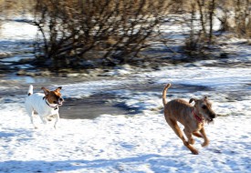 2016-03-18-1 (391).jpg (691.73 КБ, Просмотров: 1795) 2016-03-18-1 (391).jpg
