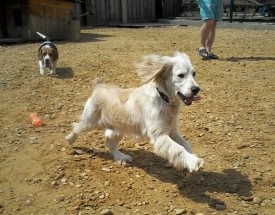 20150614_130241.jpg (275.17 КБ, Просмотров: 3160) 20150614_130241.jpg