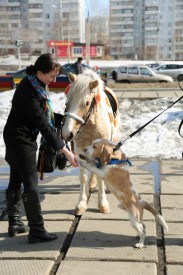 21t0cn3GBeI.jpg (124.91 КБ, Просмотров: 3536) 21t0cn3GBeI.jpg